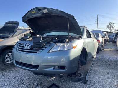 Catalog item POM062241