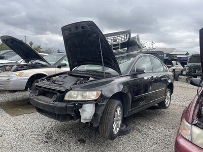 Catalog item POM063488