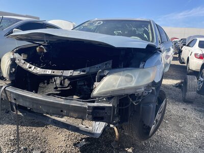 Catalog item POM062388