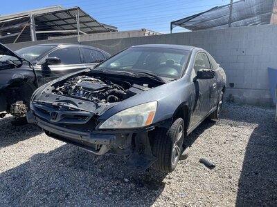 Catalog item POM064065