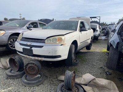 Catalog item SAC046448