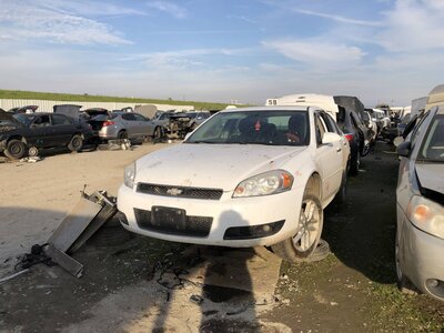 Catalog item FRE111319