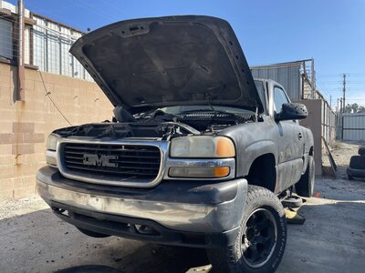 Catalog item POM062681