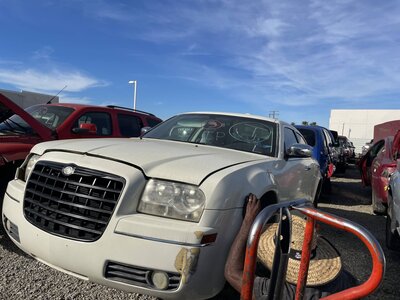 Catalog item POM062789