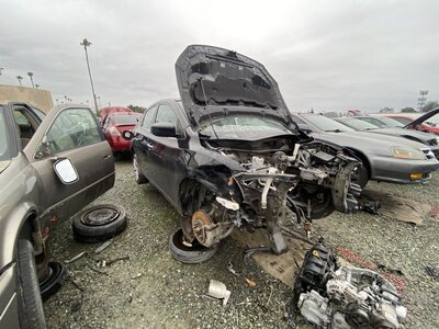 Artículo del catálogo SAC046895