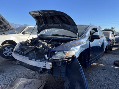 Catalog item POM061672