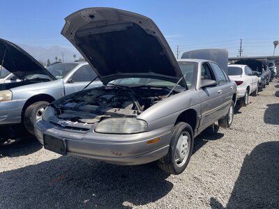 Catalog item POM063749