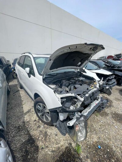 Catalog item POM059452