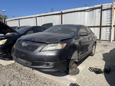 Catalog item POM063506