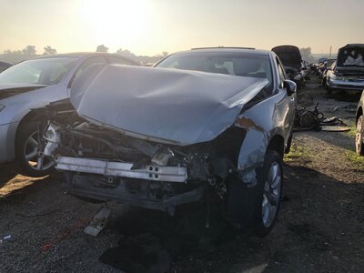 Catalog item FRE110446