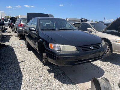 Catalog item POM063944