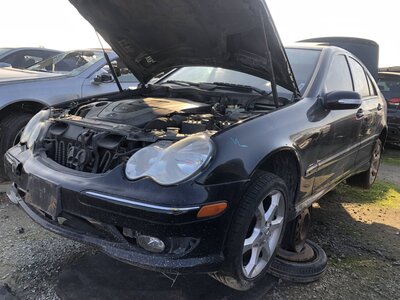 Catalog item FRE110698