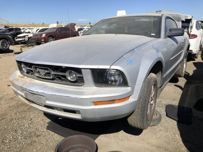 Catalog item FRE112495