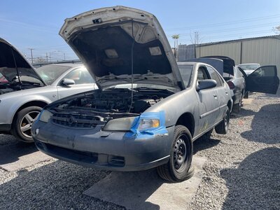 Catalog item POM063538