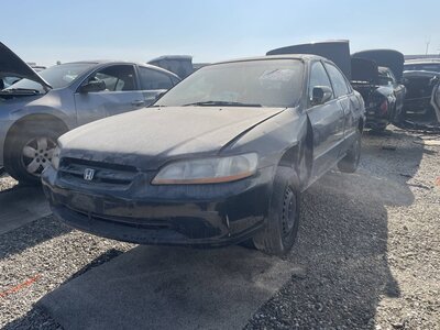 Catalog item POM063497