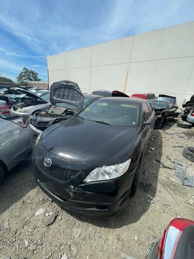 Catalog item POM063717