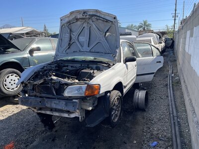 Catalog item POM063288