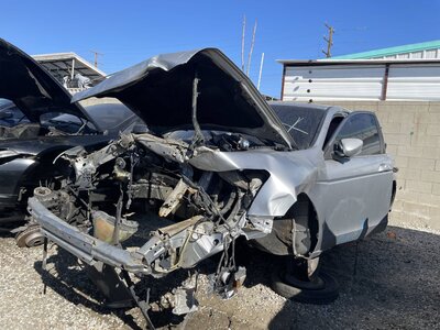 Catalog item POM062369