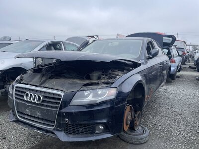 Artículo del catálogo STK055493