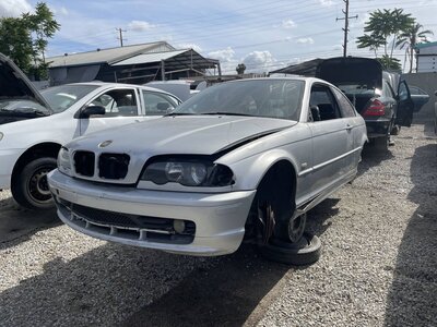 Catalog item POM063875