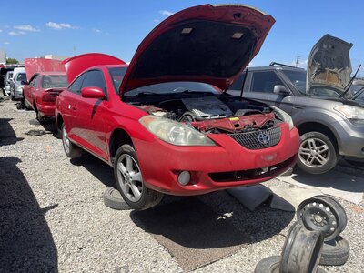 Catalog item POM063945