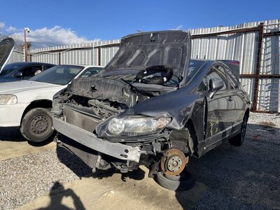 Catalog item POM061666