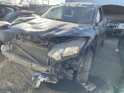 Catalog item POM061107