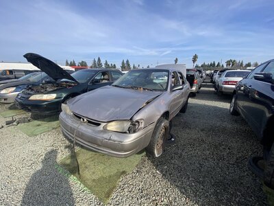 Catalog item SAC046218