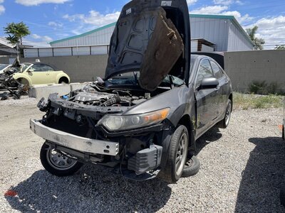 Catalog item POM064082