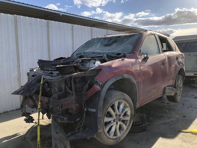 Catalog item FRE112691