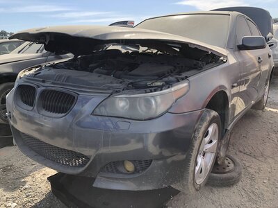 Catalog item FRE111894