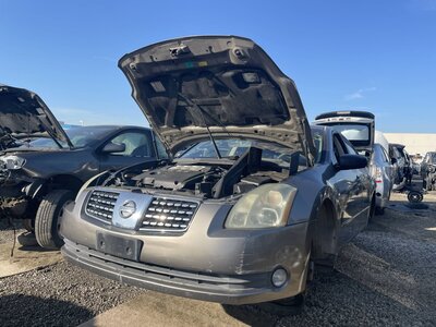 Catalog item POM062825