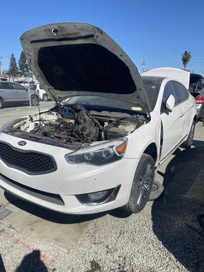 Catalog item SAC047408