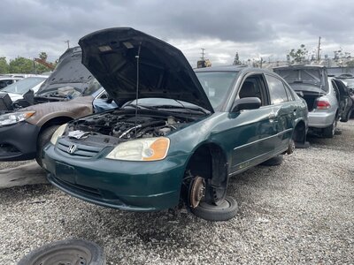 Catalog item POM063615