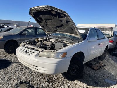 Catalog item POM063076