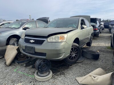 Catalog item SAC046309