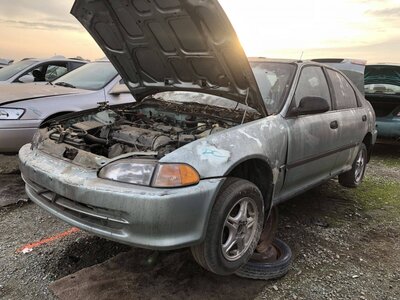 Catalog item FRE107416