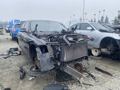 Catalog item SAC044752