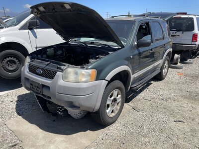 Catalog item POM063980