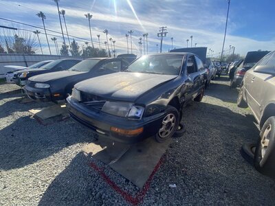 Catalog item SAC047153