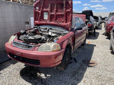 Catalog item POM064124