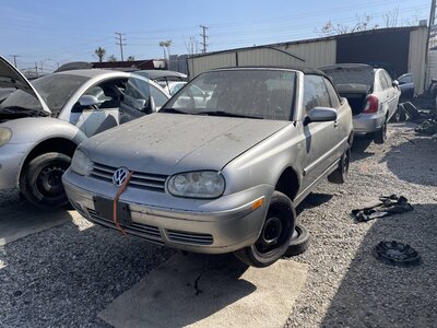 Catalog item POM063491