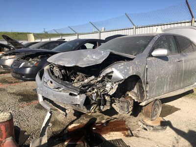 Catalog item FRE110934