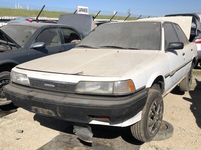 Catalog item FRE111669