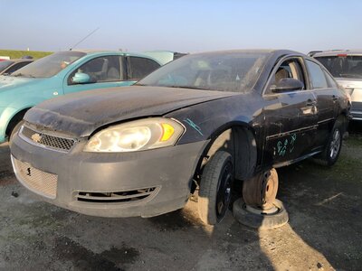 Catalog item FRE110687