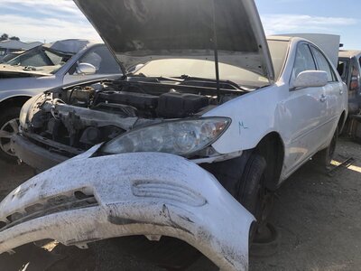 Catalog item FRE111778