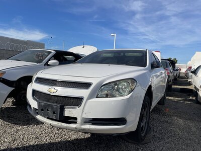 Catalog item POM062846