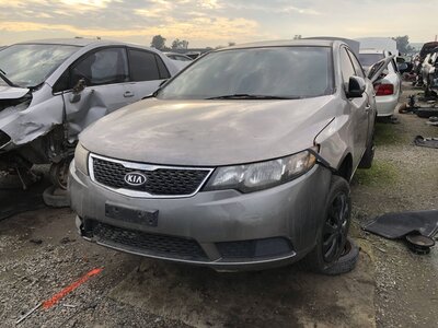 Catalog item FRE110278