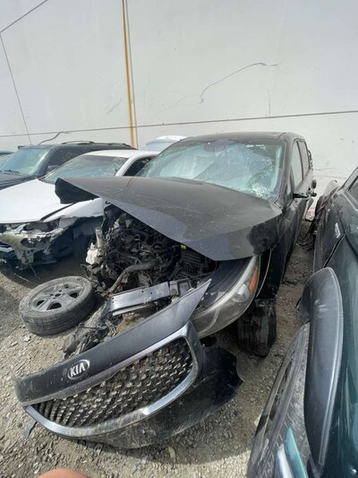 Catalog item POM063701