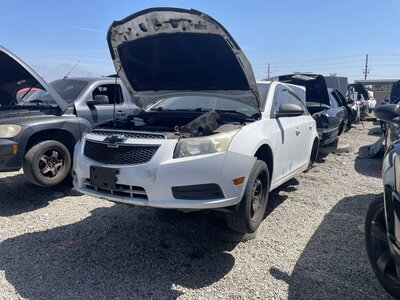 Catalog item POM063771